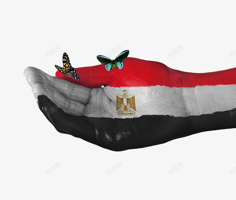 埃及国旗手绘蝴蝶png免抠素材_新图网 https://ixintu.com 创新风格 国旗 国旗手绘 图案 埃及 手绘风格 蝴蝶