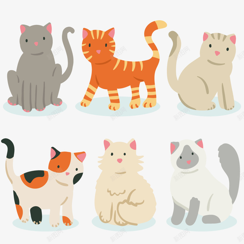 可爱宠物猫png免抠素材_新图网 https://ixintu.com 动物 可爱 宠物猫 扁平化