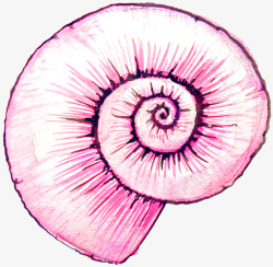 水粉画盆景艺术图案粉色蜗牛壳高清图片