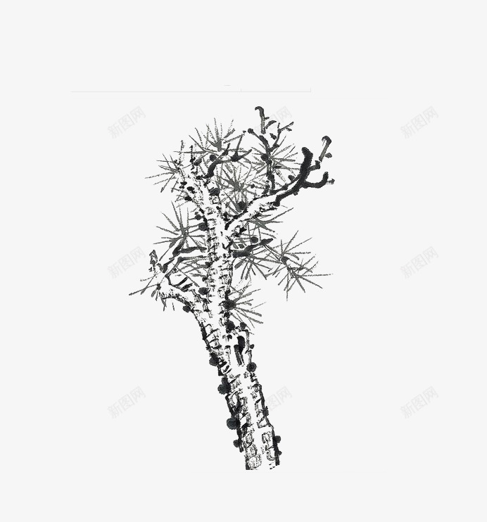 简单的松树png免抠素材_新图网 https://ixintu.com 图片 手绘 毛笔画的松树 素材 诗画