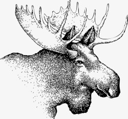 圣诞节banne麋鹿鹿矢量图高清图片