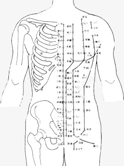 男性人体结构图人体结构穴位图高清图片