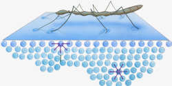 纳米分子作用力素材
