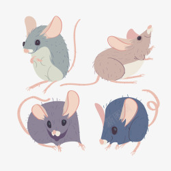 家鼠可爱的小老鼠矢量图高清图片