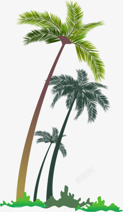 妞板瓙椰树矢量图高清图片