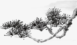 手绘中国风黑色松树素材