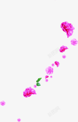紫色温馨浪漫花朵节日素材