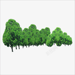 绿树环绕大树群高清图片