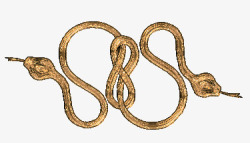 打结的蛇绕在一起的两头蛇高清图片