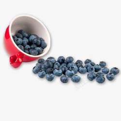 产品实物图蓝莓水果素材