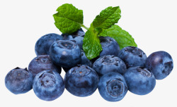 蓝莓食物素材