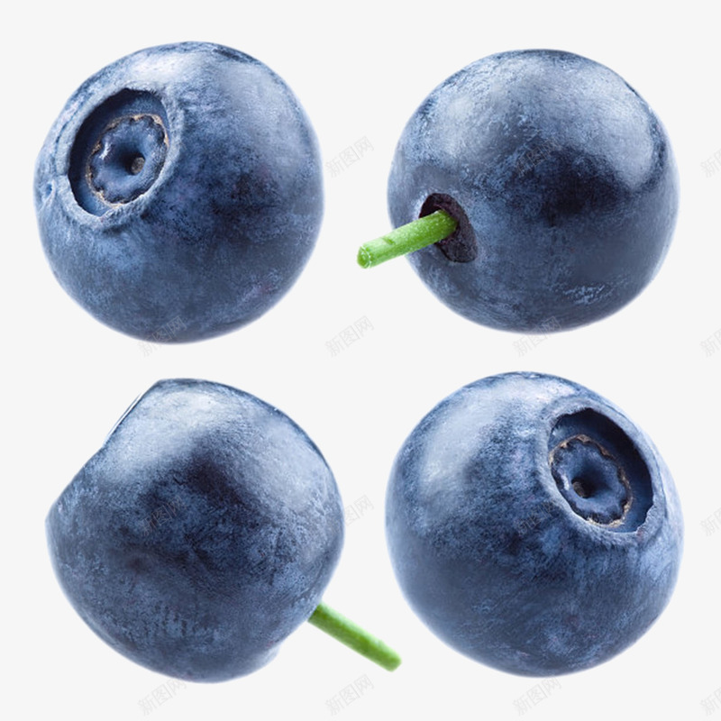 实物野生蓝莓png免抠素材_新图网 https://ixintu.com 免扣 免费下载 果树 水果 笃斯 美食 蓝色 蓝色浆果 野生蓝莓 食物