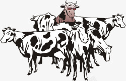一群奶牛卡通高清图片