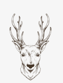 手绘线条绘画动物麋鹿素材