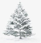 摄影合成圣诞树松树png免抠素材_新图网 https://ixintu.com 合成 圣诞树 摄影 松树
