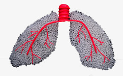 肺纤维化素材