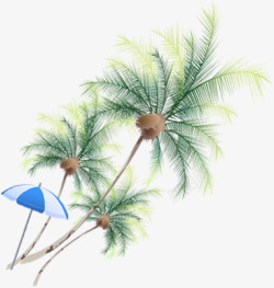 夏季椰树遮阳伞美景素材