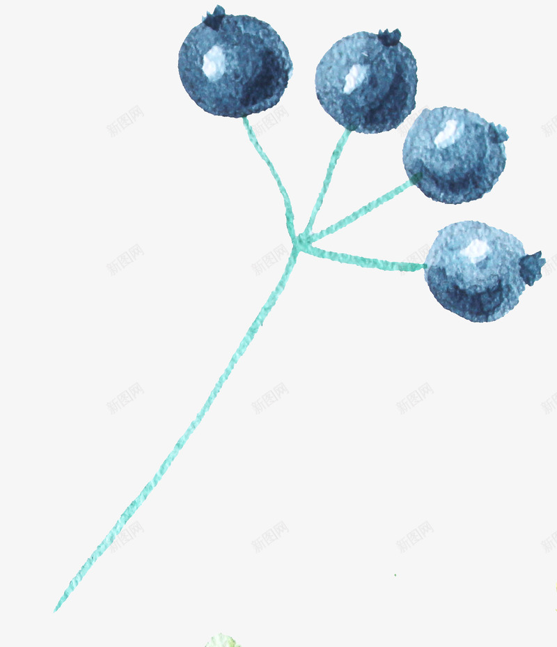 装饰手绘蓝莓水果png免抠素材_新图网 https://ixintu.com 手绘蓝莓 插画 水果 蓝莓 装饰图案 装饰水果