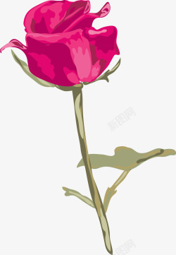 情人节水彩手绘玫瑰花素材