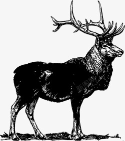 黑色麋鹿动物手绘矢量图素材