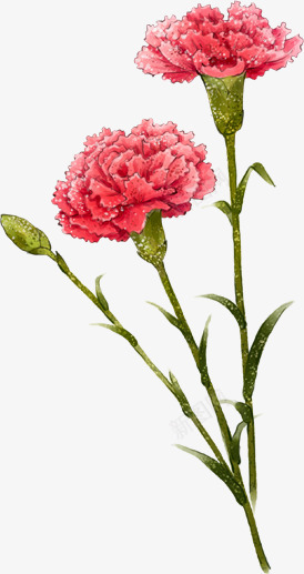 粉色手绘温馨花朵植物png免抠素材_新图网 https://ixintu.com 植物 温馨 粉色 花朵