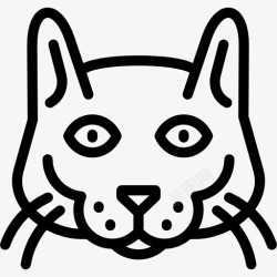 呵叻猫Korat猫图标高清图片