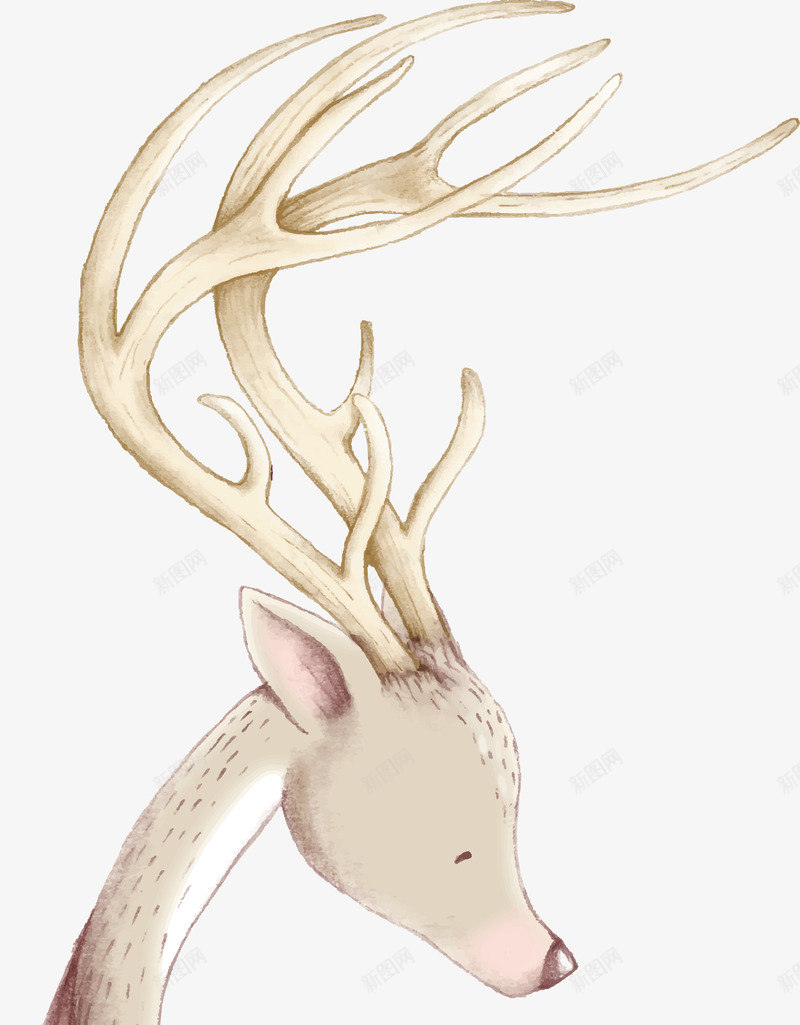 可爱的麋鹿手绘图png免抠素材_新图网 https://ixintu.com 动物 可爱的 头角 犄角 简图 野生动物 麋鹿
