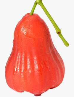 爪哇水果高清图片