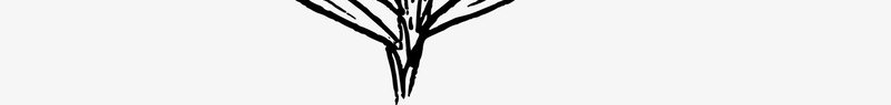 松鼠矢量图图标ai_新图网 https://ixintu.com 免费矢量下载 复古 手绘 松树 植物 矢量图