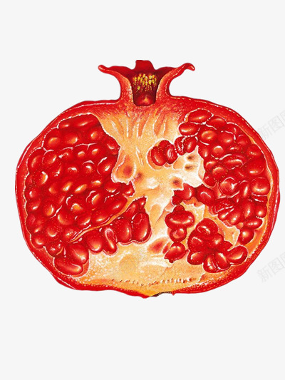 红石榴切面png免抠素材_新图网 https://ixintu.com 优质石榴广告 水果 石榴粒 红石榴 红色