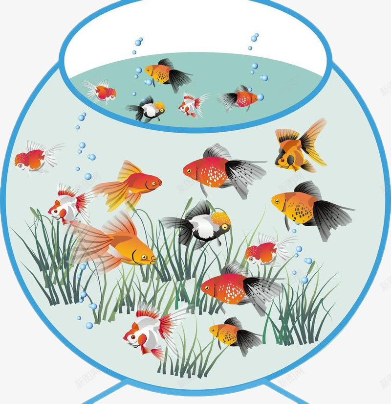 鱼缸鱼儿png免抠素材_新图网 https://ixintu.com 宠物 游动的鱼儿 鱼 鱼儿 鱼缸