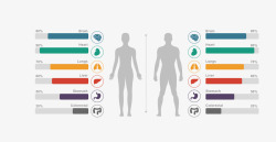达芬奇人体比例人体结构比例图高清图片