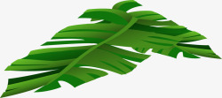 绿色椰子叶子矢量图素材