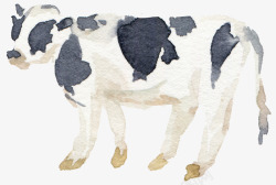 水彩奶牛手绘可爱的奶牛图高清图片