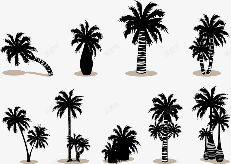 棕榈树椰树剪影png免抠素材_新图网 https://ixintu.com 棕榈树 椰树