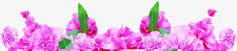 紫色温馨康乃馨花朵装饰png免抠素材_新图网 https://ixintu.com 康乃馨 温馨 紫色 花朵 装饰
