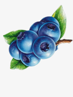 可口的蓝莓素材