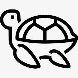 龟甲龟图标高清图片