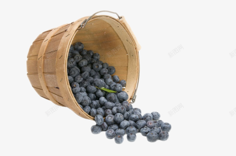 实物桶里倒出来的蓝莓png免抠素材_新图网 https://ixintu.com 免扣 免费下载 果树 水果 笃斯 美食 蓝色 蓝色浆果 野生蓝莓 食物