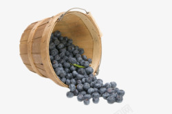 桶里实物桶里倒出来的蓝莓高清图片