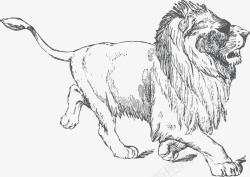 精雕浮雕灰度狮子精雕图标高清图片