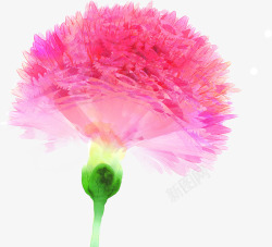 手绘粉色温馨康乃馨花朵素材