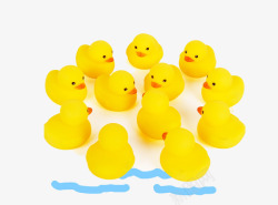 游泳的小黄鸭好多鸭子高清图片