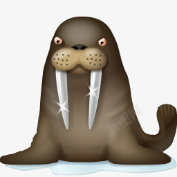 海狮恶搞动物形象软件LOGO透明图标图标