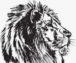黑白狮子头线条狮子头高清图片