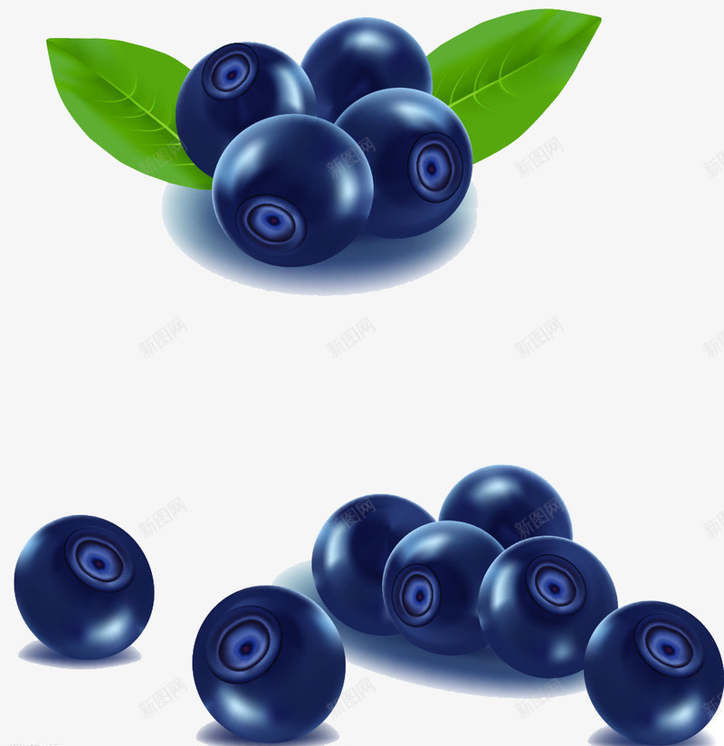 蓝莓png免抠素材_新图网 https://ixintu.com 手绘 水果 绿叶 蓝色 蓝莓