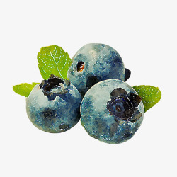 蓝色蓝莓汁蓝莓逼真手绘画片高清图片