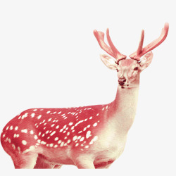 驯养动物手绘红色麋鹿图案高清图片
