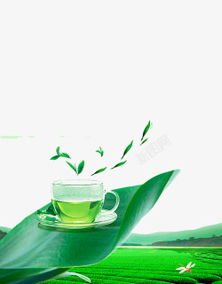清香绿茶素材