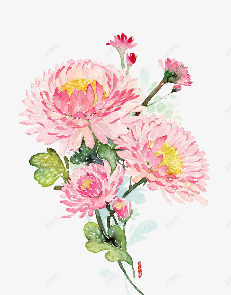 手绘粉色花朵png免抠素材_新图网 https://ixintu.com 手绘 植物 水粉 画 花